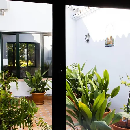El Molino Del Huertezuelo * La Palma Del Condado